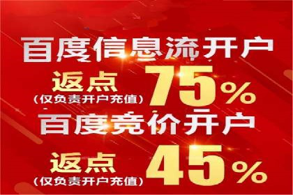 低成本高回报：百度竞价代理成功案例分析